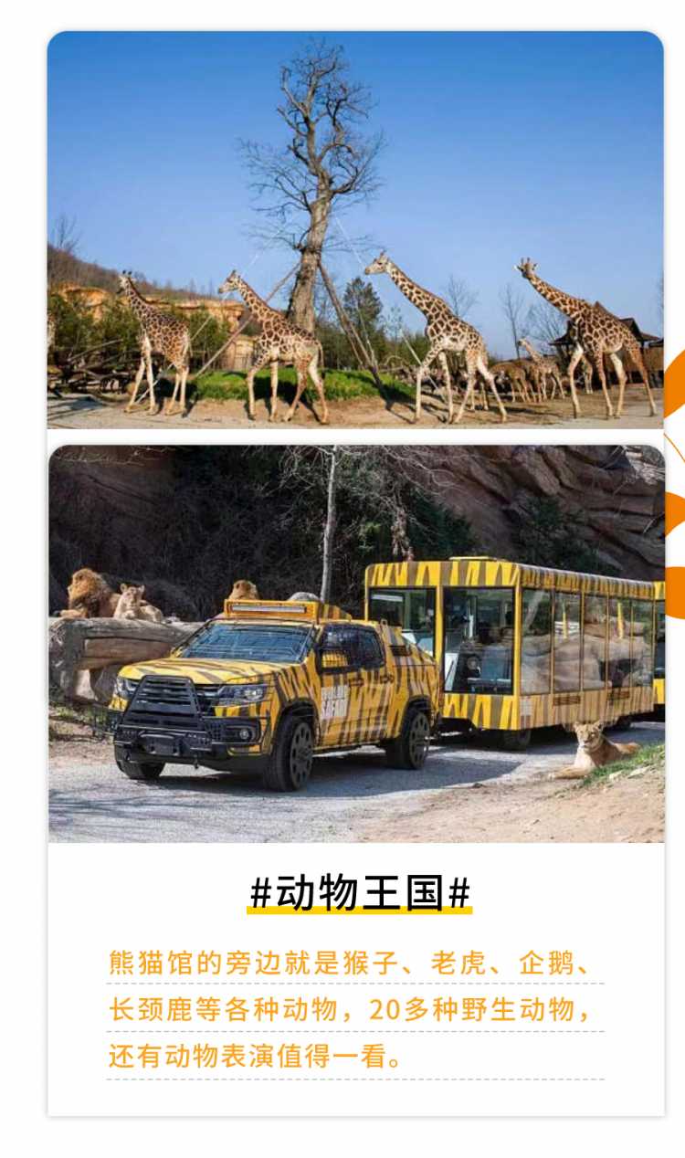 韩国旅游景点推荐（爱宝乐园）文章长图5