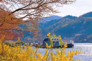 春川南怡岛