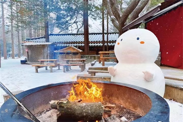 春川南怡岛