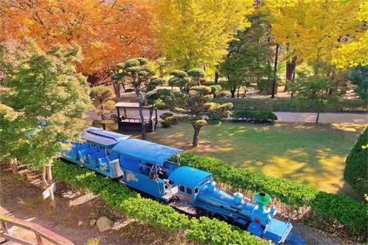 春川南怡岛