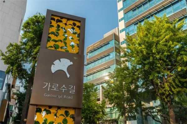 首尔江南新沙林荫路