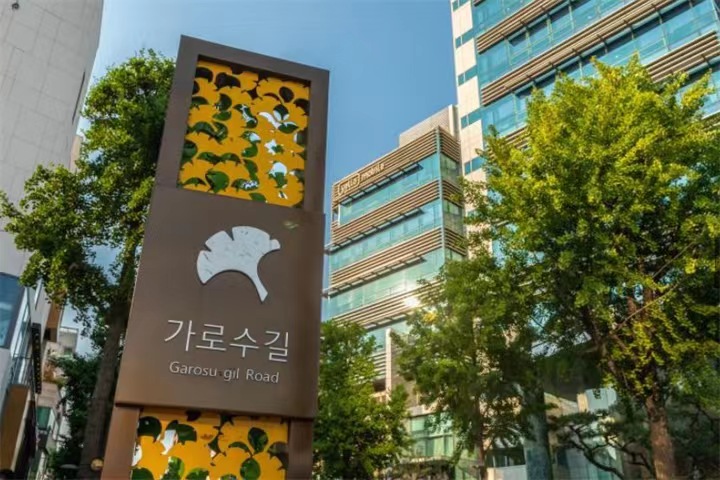 首尔江南新沙林荫路