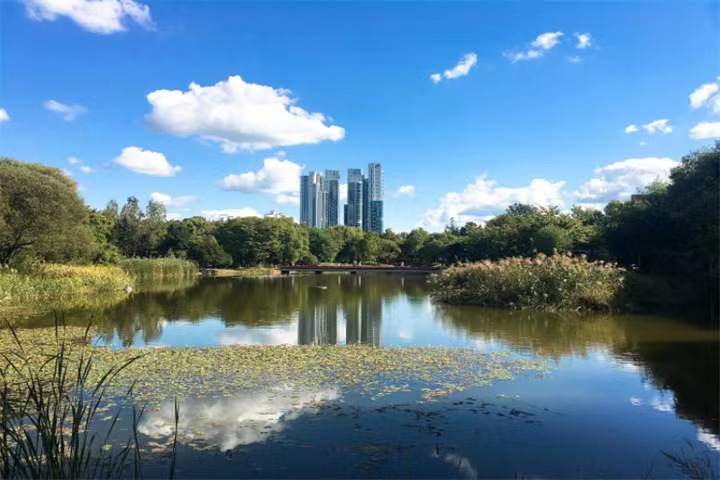 首尔林