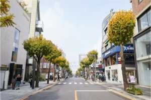 首尔江南新沙林荫路