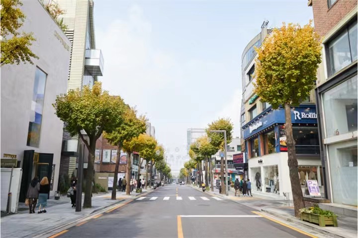 首尔江南新沙林荫路