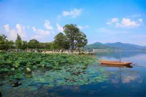 杨平郡两水里