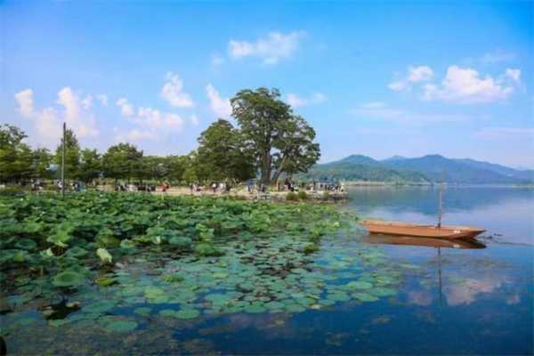 杨平郡两水里