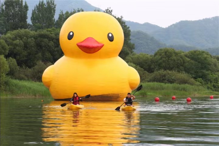 加平甲鱼岛