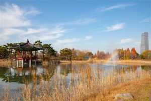 大田树木园