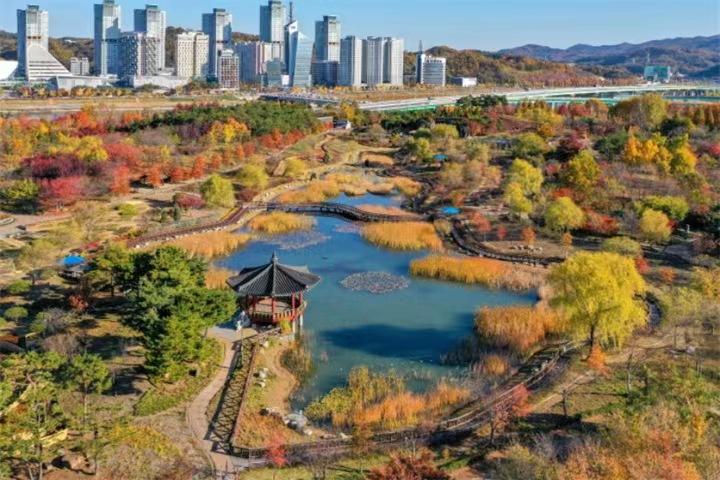 大田树木园