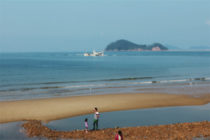 泰安郡安眠岛花地海边