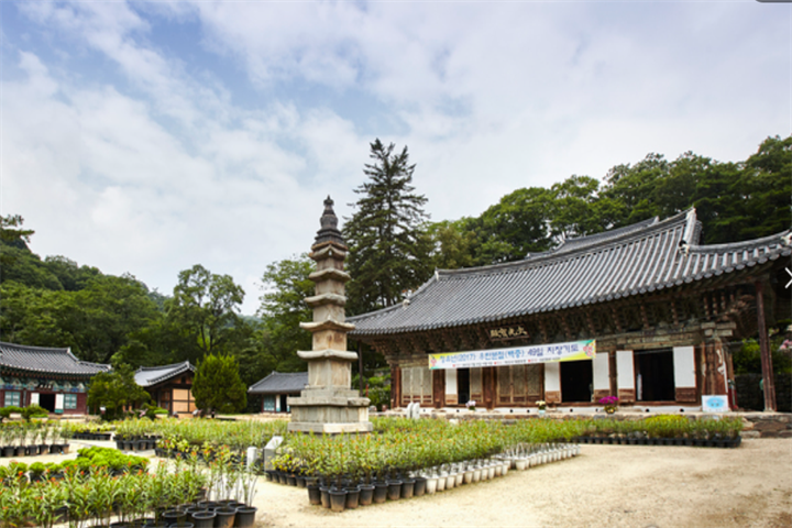 麻谷寺3