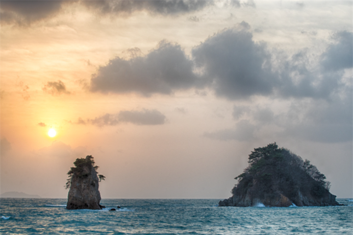 泰安郡安眠岛花地海边
