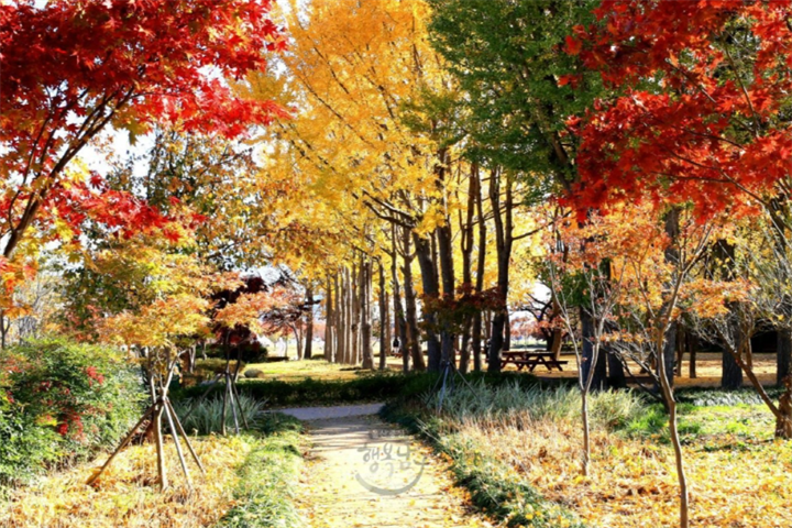 蔚山太和江国家园林