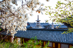 庆州佛国寺与石窟庵