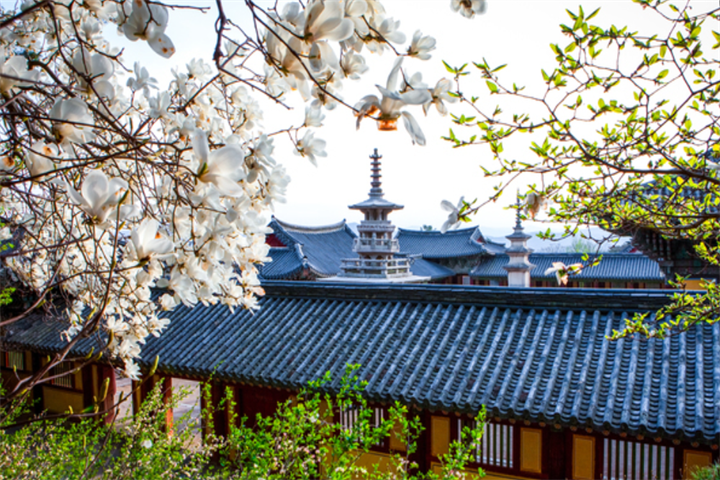 庆州佛国寺与石窟庵