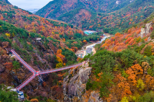 居昌抗老化治愈乐园