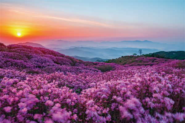 黄梅山郡立公园