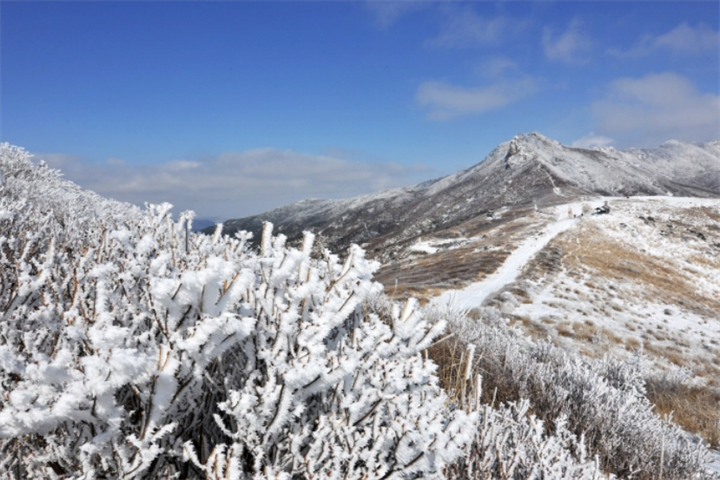 黄梅山郡立公园