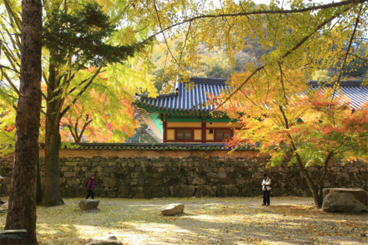 寺庙4