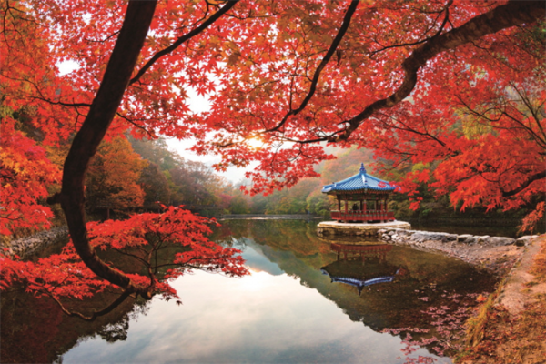 井邑内藏山国立公园