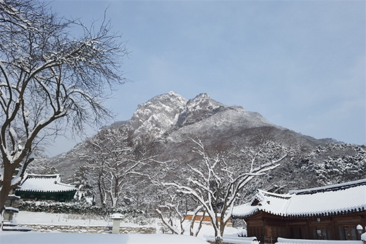 冬4