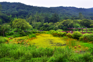 高敞支石墓、云谷湿地村