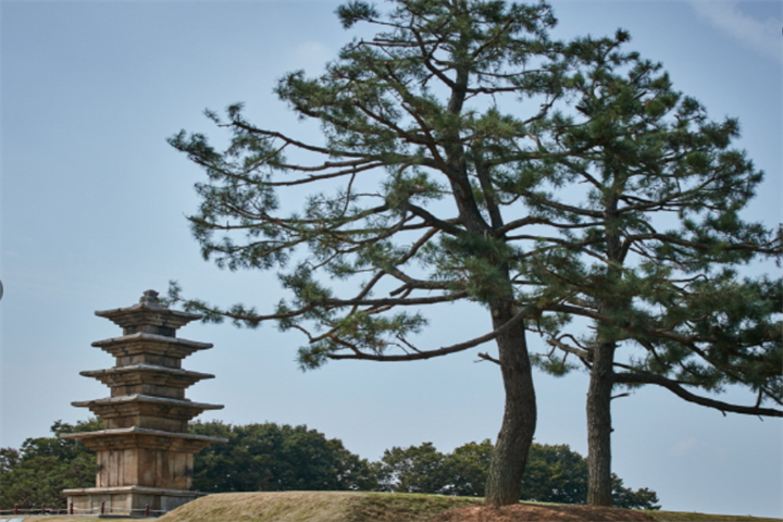 益山王宫里遗迹