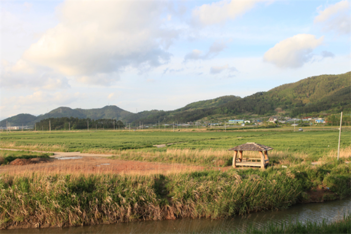顺天湾湿地与国家庭园