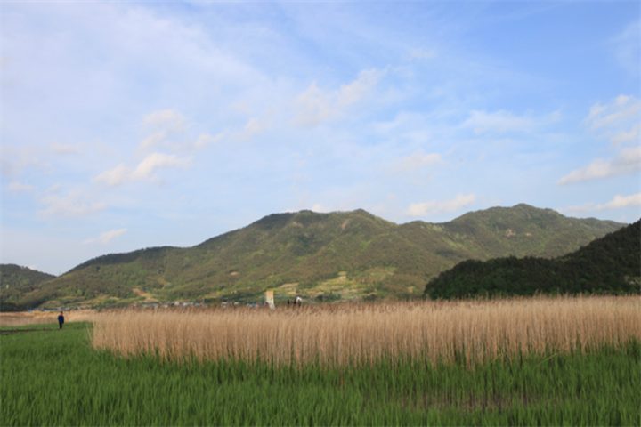 顺天湾湿地与国家庭园