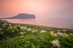 济州城山日出峰
