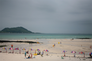 济州偶来