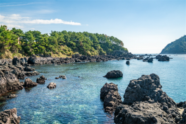 济州偶来