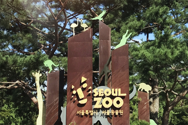 首尔大公园