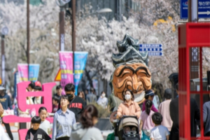 安东樱花庆典