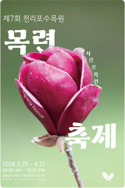 庆典3