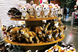 韩国首尔zoolung zoolung室内动物园