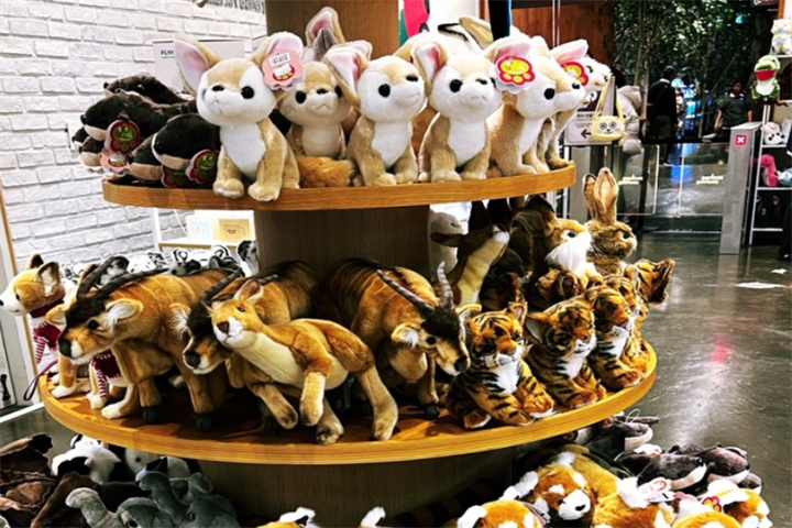 韩国首尔zoolung zoolung室内动物园