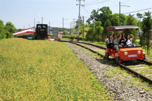 京畿道加平铁路自行车体验