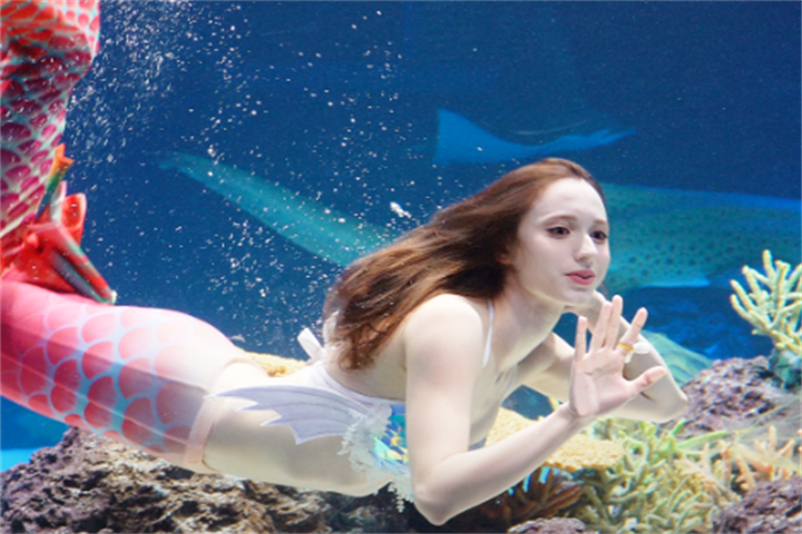 水原最好的水族馆光教Aqua Planet