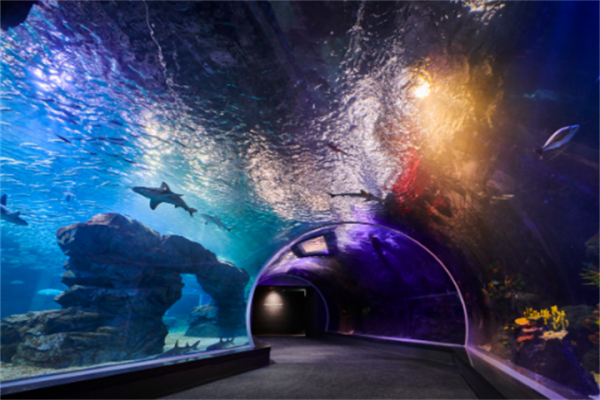 水原最好的水族馆光教Aqua Planet