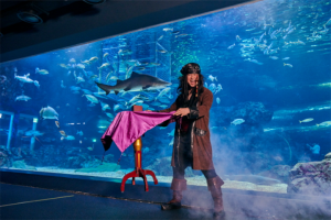 水原最好的水族馆光教Aqua Planet