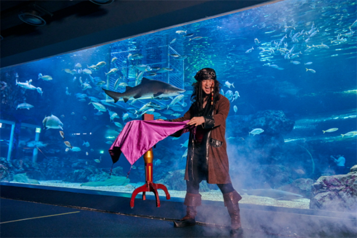 水原最好的水族馆光教Aqua Planet