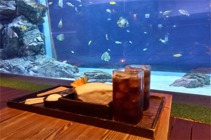 水原最好的水族馆光教Aqua Planet