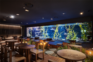 水原最好的水族馆光教Aqua Planet