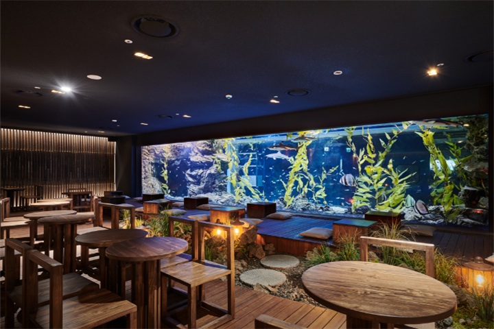 水原最好的水族馆光教Aqua Planet