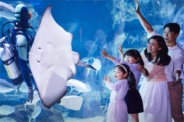 水原最好的水族馆光教Aqua Planet
