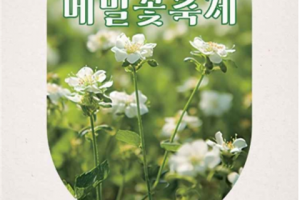 济州最具济州特色的地方“济州民俗村荞麦花庆典”