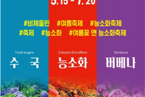 在下着朱红色花雨的花路上享受凌霄花庆典“夏季花&凌霄花节”