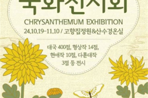 菊花盛开的回忆仓库“早静树木园菊花展览会”